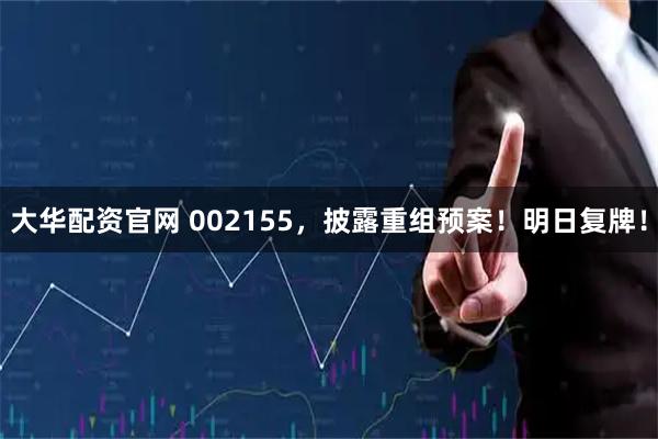 大华配资官网 002155，披露重组预案！明日复牌！