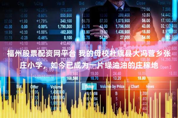 福州股票配资网平台 我的母校社旗县大冯营乡张庄小学，如今已成为一片绿油油的庄稼地